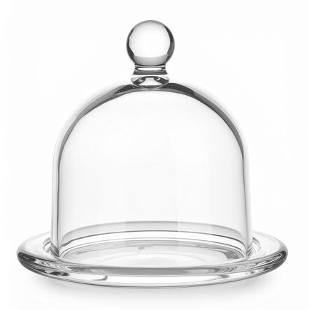 Duży pojemnik na cytrynę owoce warzywa